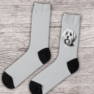 Drawing Maltese Dog Socks