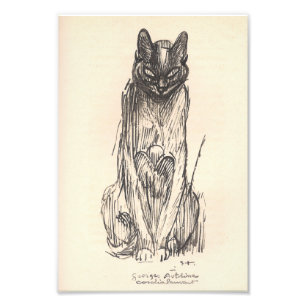 Drawing of Cat by Alexandre Steinlen Photo Print