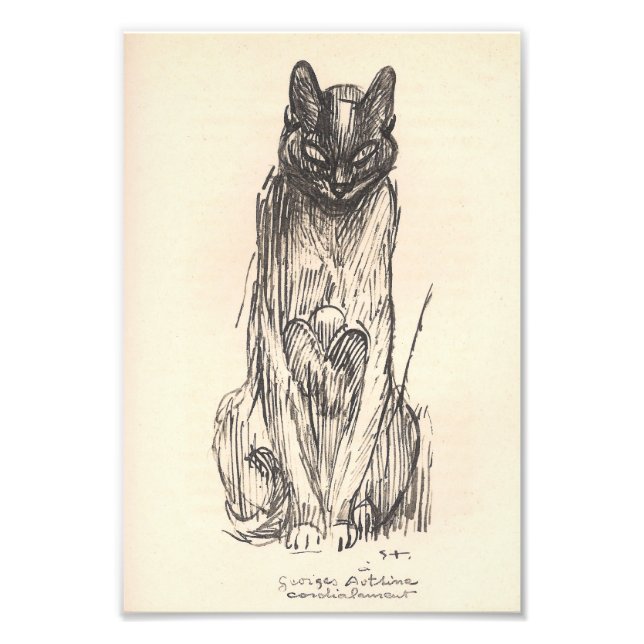 Drawing of Cat by Alexandre Steinlen Photo Print (Front)