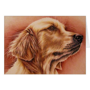Drawing of Golden Retriever on Card