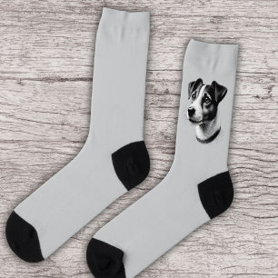 Drawing of Jack Russell Terrier Socks