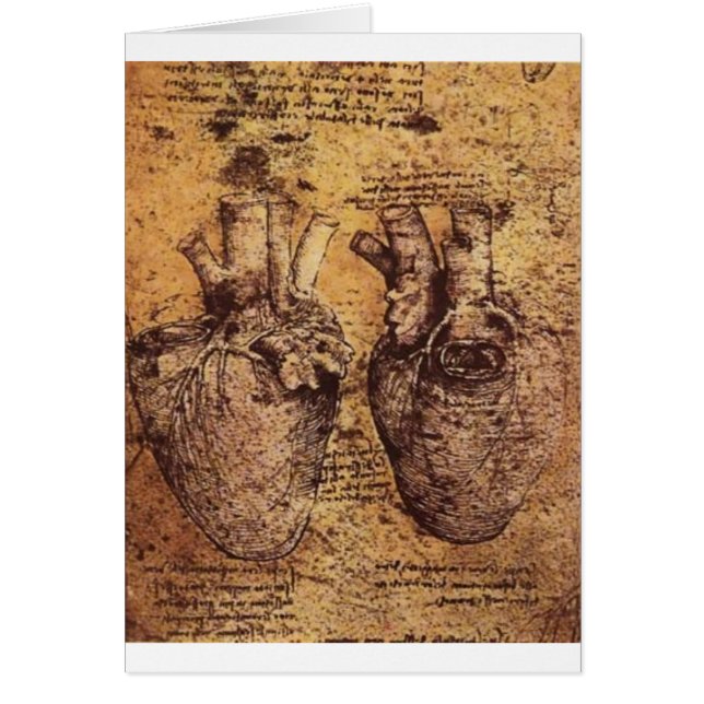 Drawing of the heart and its blood vessels (Front)
