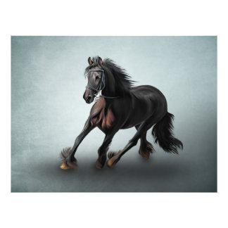 Drawing portrait horse photo print