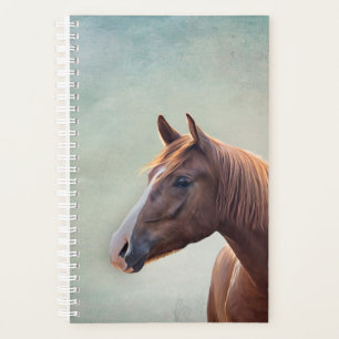 Drawing portrait horse planner