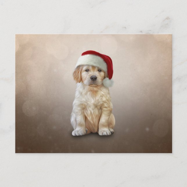Drawing puppy Golden Retriever in red hat of Santa Postcard (Front)