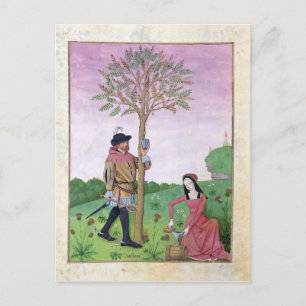 Drawing sap from a tree postcard