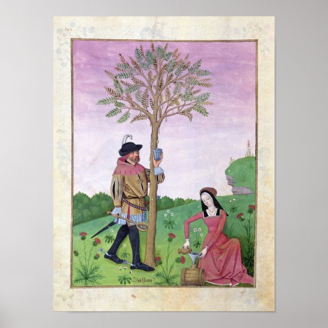 Drawing sap from a tree poster (Front)