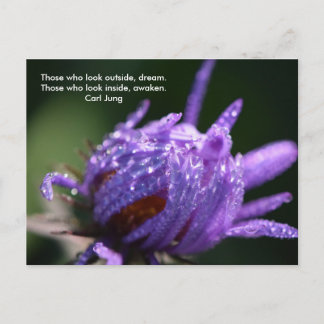 Dream and Awaken Postcard