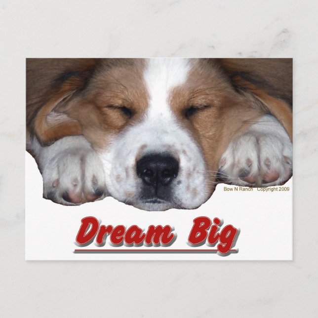 Dream Big Dog Postcard (Front)