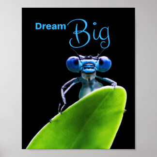 Dream Big Dragonfly Motivational Poster