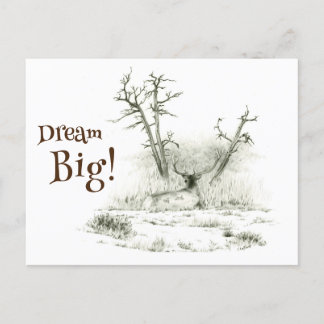 Dream Big Elk Postcrossing Postcard