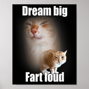 Dream Big Fart Loud Cat Meme Funny Saying  Poster