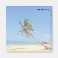 dream big