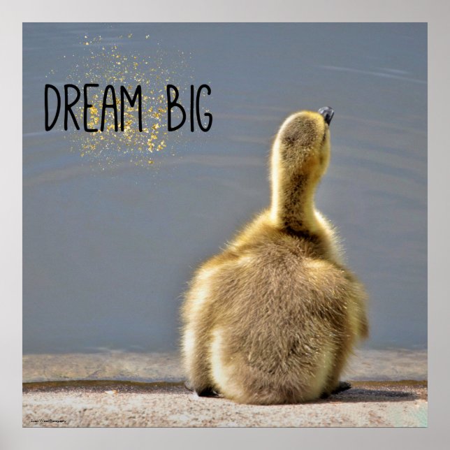 Dream Big Motivational Poster (Front)