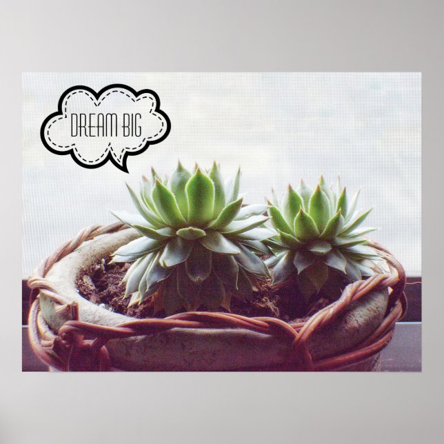 Dream Big Phrase Succulent Poster (Front)
