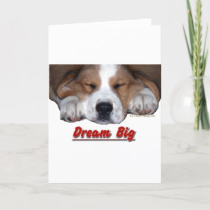 Dream Big Sleeping St. Bernard Mix Card