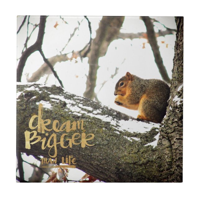 Dream Bigger than Life Squirrel Tile (Front)