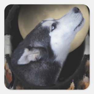 Dream catcher and blue eyed Husky Square Sticker
