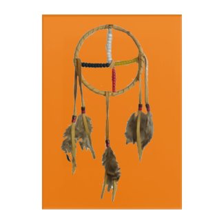 Dream Catcher Orange Acrylic Wall Art