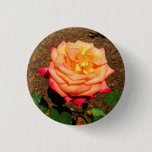 Dream Come True Rose #3 Button