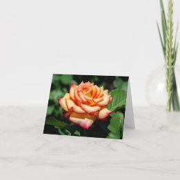 Dream Come True Rose Card