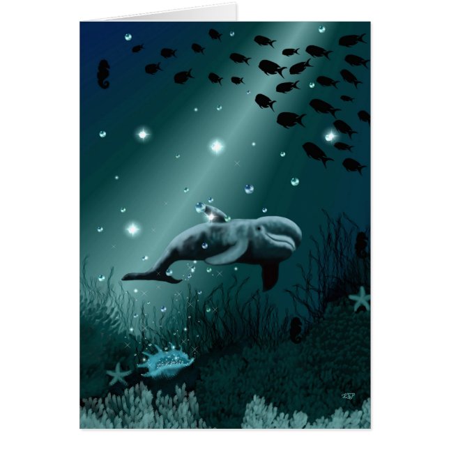 Dream dauphin (Devant)