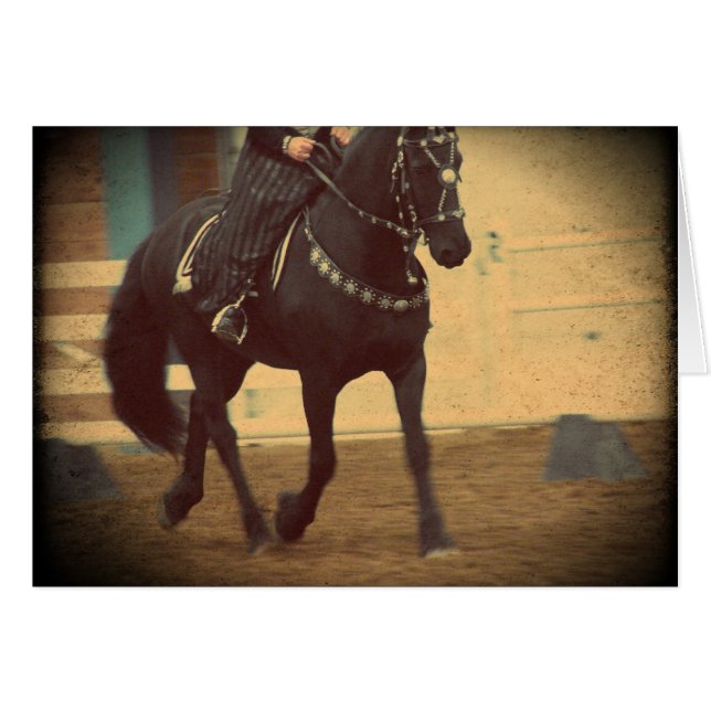Dream Horse Dressage friésien (Devant horizontal)