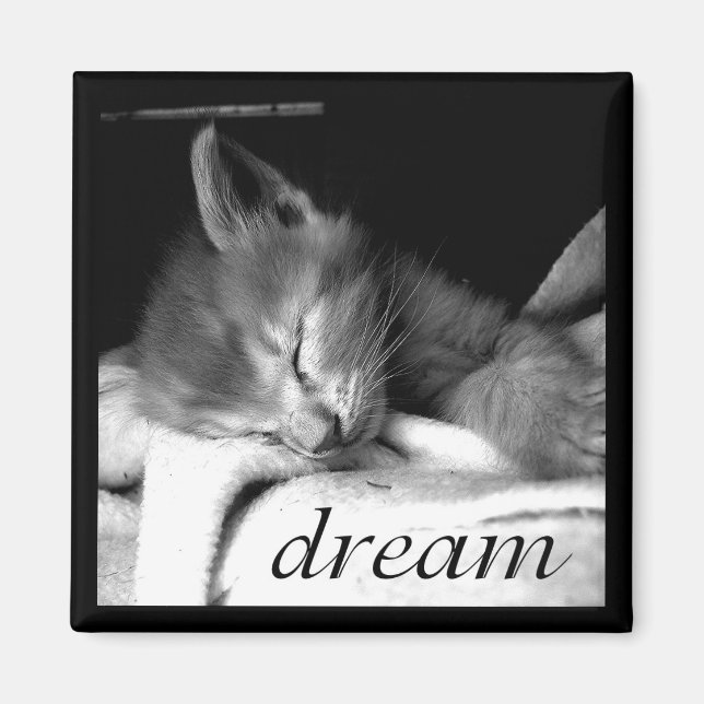 Dream Kitten - Magnet (Devant)