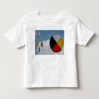 Dream Medicine Clouds Toddler Jersey T-Shirt