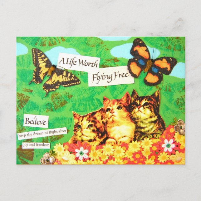 Dream Of Flight - Vintage Postcard (Front)