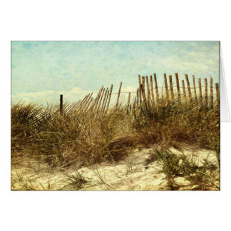 Dream of the Beach