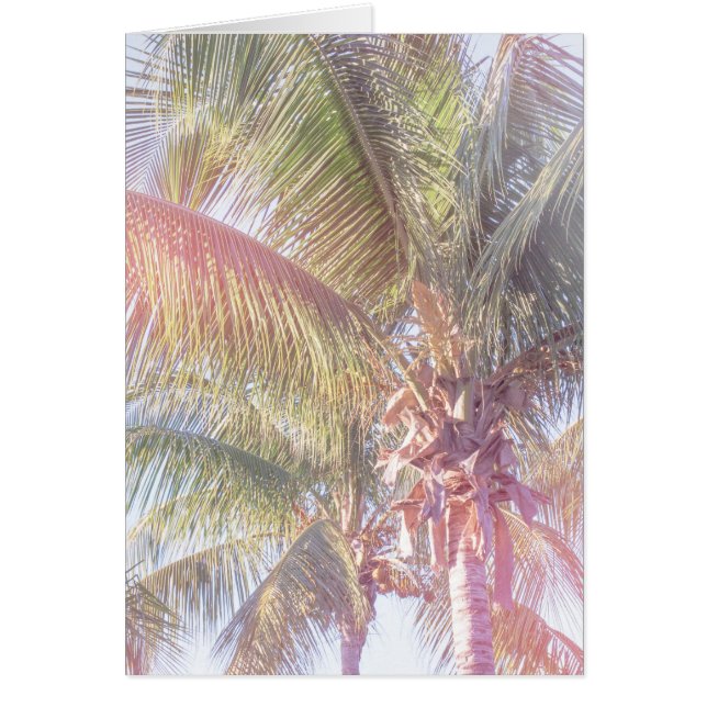 Dream Palm Tree (Front)