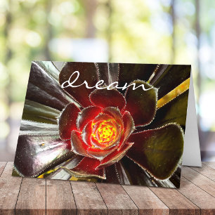 “Dream” quote orange and black cactus blank in Card