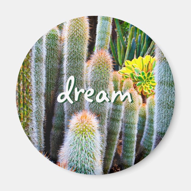 Dream Script Fuzzy Green Cacti Succulent Photo Magnet (Front)