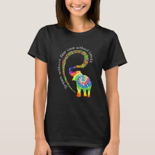 Dream Without Fear Love Elephant Lgbt Pride Tie Dy T-Shirt