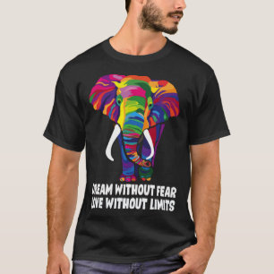 Dream Without Fear Love Without Limits LGBT Pride T-Shirt