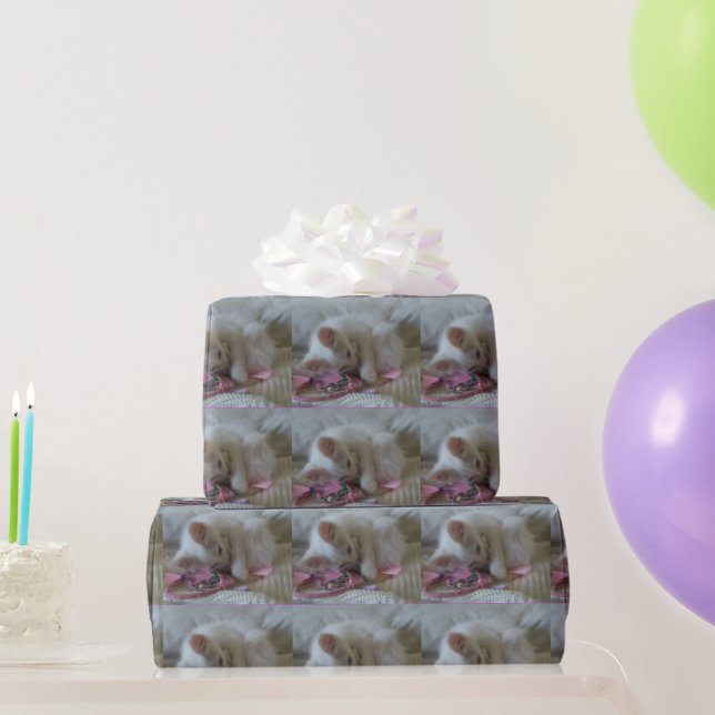Dreamcatcher Kitten Wrapping Paper (Party Gifts)