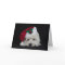 Dreamer the pesky westie Christmas Card