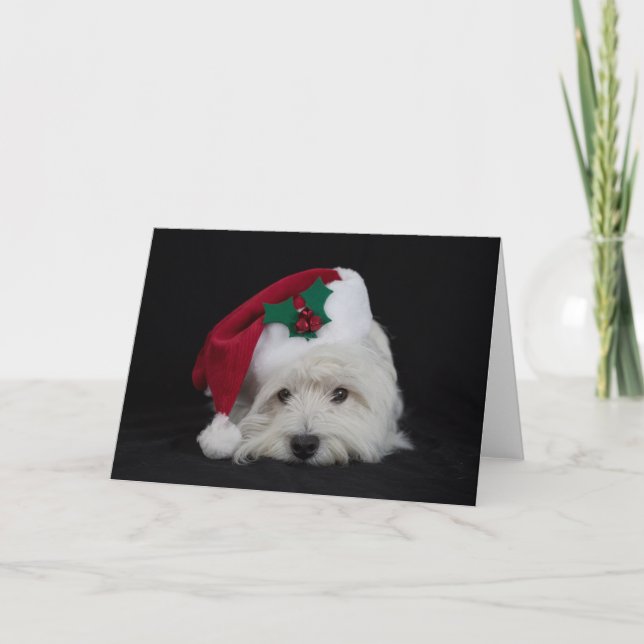 Dreamer the pesky westie Christmas Card (Front)