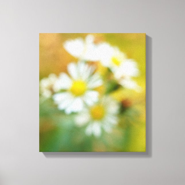 Dreamin' Daisies Canvas Print (Front)