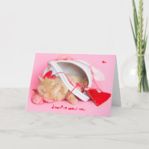 Dreaming about mew kitten holiday card