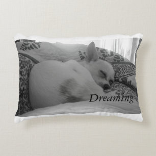 Dreaming Decorative Pillow