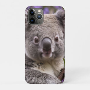 "Dreaming in Purple: A Koala in a Jacaranda Tree iPhone 11 Pro Case
