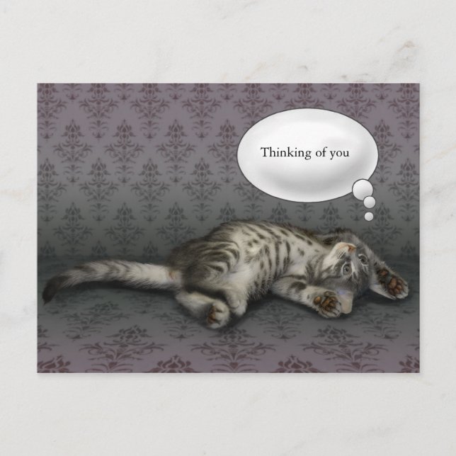 Dreaming kitty, customizable text card (Front)