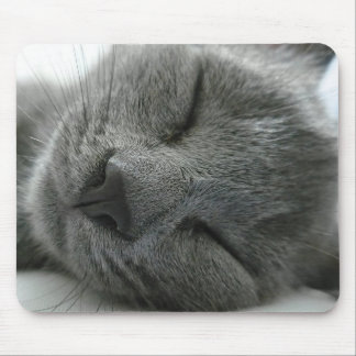 Dreaming kitty mouse pad