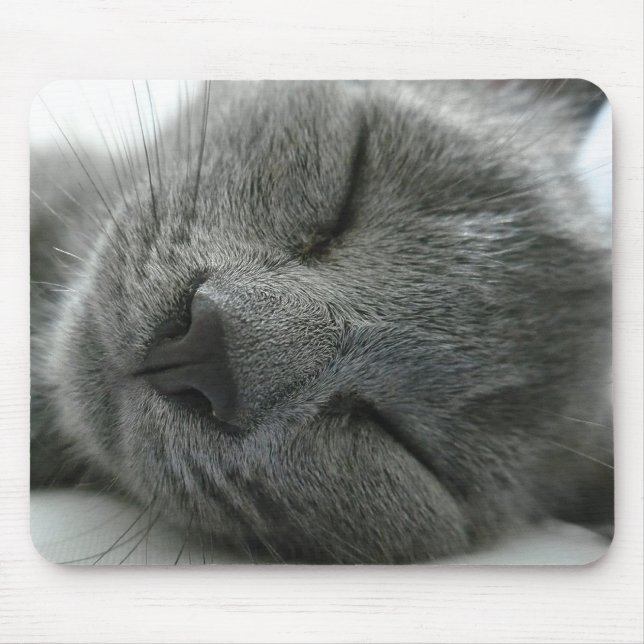 Dreaming kitty mouse pad (Front)