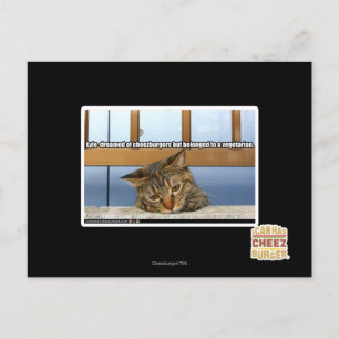Dreaming of Cheesburgers Postcard