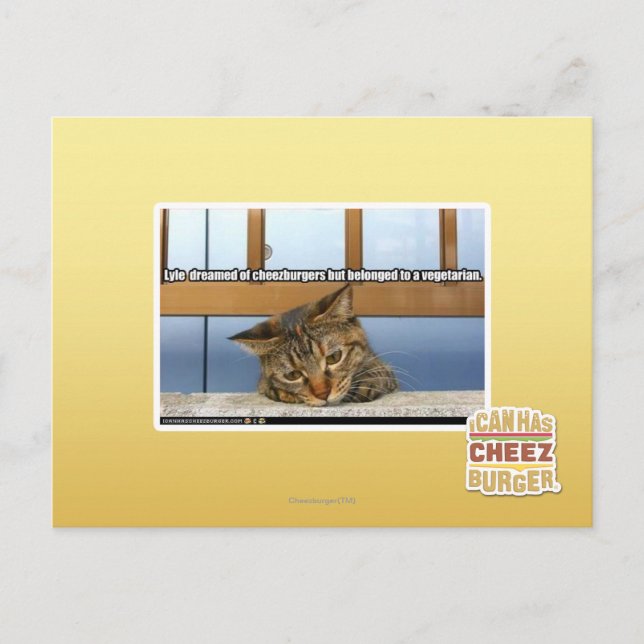 Dreaming of Cheesburgers Postcard (Front)