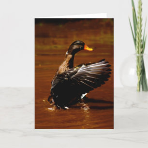 Dreaming Of Flight Holiday Card
