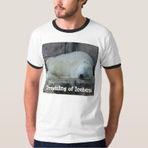 Dreaming of Icebergs